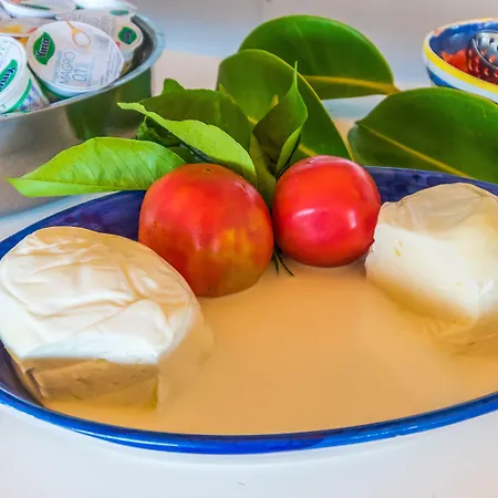 호텔 르 악시디 비코에쿠엔세